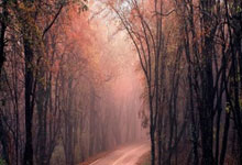 意大利vs西班牙的精彩对决有哪些关键瞬间？