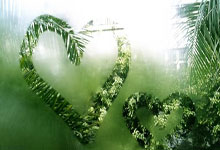 卢卡·东契奇为何能成为NBA的欧洲魔术师？